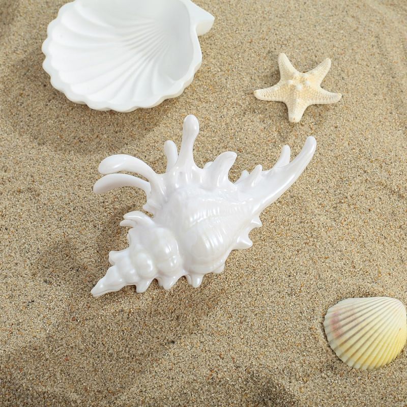 Large Conch Hair Clips - 3D Summer Beach Vibe Strong Grip White Hair Claws for Thick Hair, Women, Beach & Daily Use - Image 2