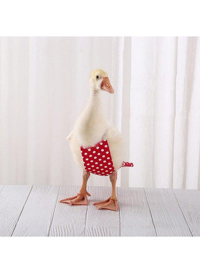 Winmany Chicken Duck Goose Diaper Washable Pet Bow Tie Diapers For Hens Roosters Poultry 1 Pack (S, Red) - Image 5