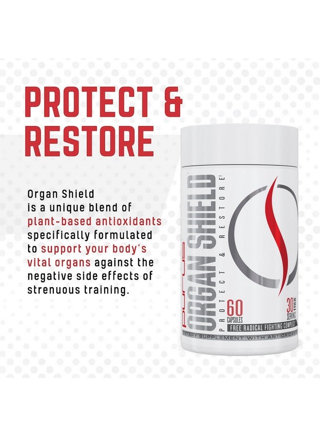 Purus Labs بورا لابز شيلد النشط لمضادات الأكسدة | مضادات أكسدة نباتية | 30 حصة، 60 كبسولة جيلاتينية - Image 5