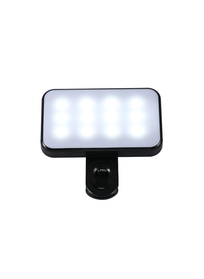 Desktop Beauty Leg Pocket Fill Light With Microphone Suit SLR Conference Light Handheld Photography With Microphone-Specifications:Bgd-11d  - Image 1