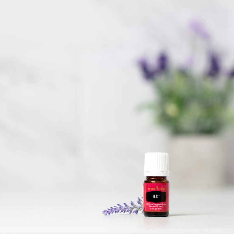 Young Living زيت أساسي R.C. 5 مل من يونغ ليفينغ زيت أساسي - Image 3