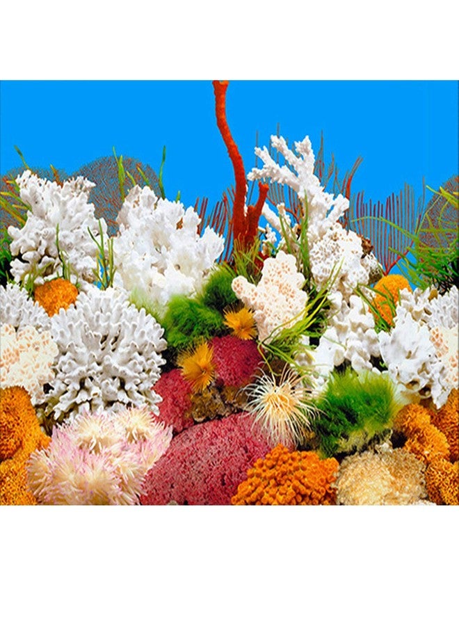 ELEBOX New 15.7" x 40" Fish Tank Background 2 Sided River Bed & Lake Background Aquarium - Image 3
