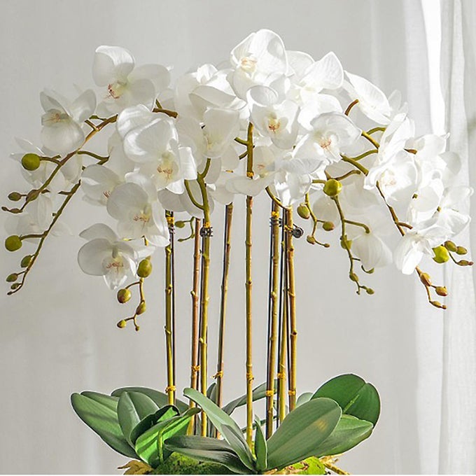 ARTIFICIAL ORCHID PLANT 35 INCH 4 PCS PHALAENOPSIS FLOWERS WITH LEAVES REAL TOUCH ORCHID STEMS FOR HOME DECORATION