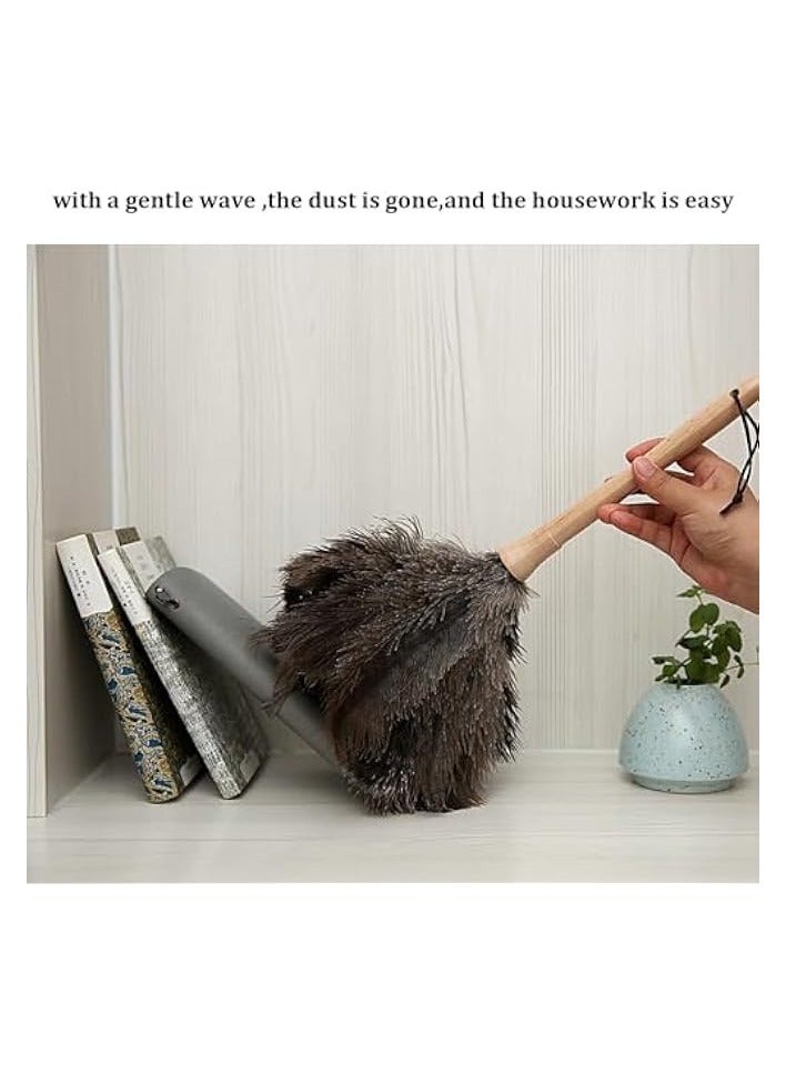 إيروريكس منفضة ريش ناعمة، ريش منفوش مقاس 16 بوصة بمقبض خشبي ومنفضة ريش محمولة صديقة للبيئة وقابلة لإعادة الاستخدام لمستلزمات التنظيف - Image 1