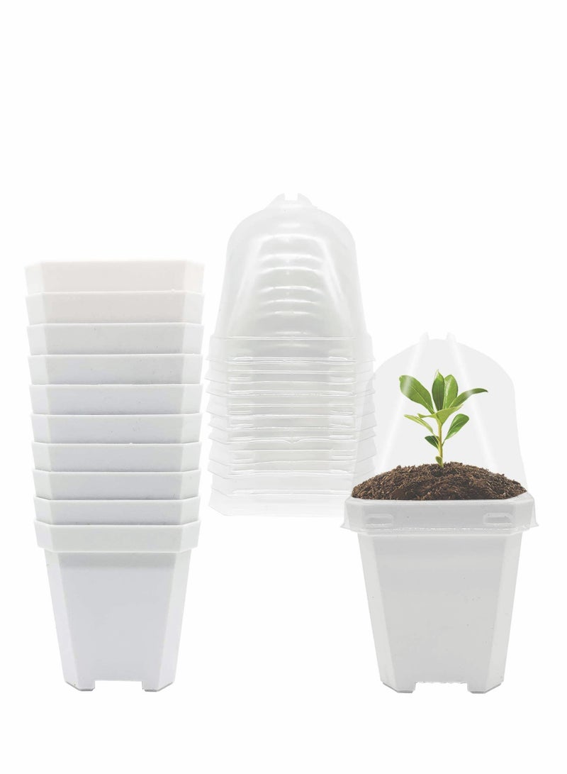 10 عبوة من أواني الشتلات مع غطاء رطوبة - حاويات بلاستيكية للنباتات والخضروات والعصاريات - ثقوب صرف لنمو مثالي - Image 1