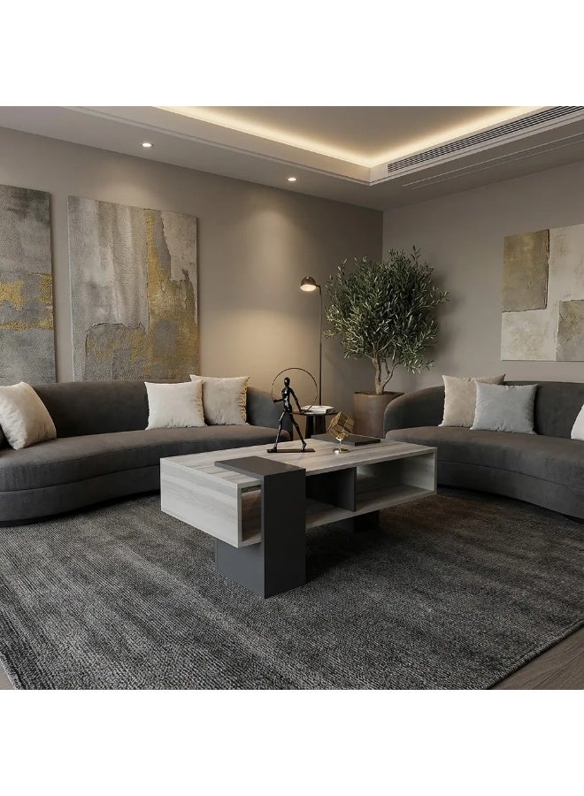 Stylish Home Modern coffee table in light and dark gray – contemporary design with practical storage space - CT63-AR - Image 1