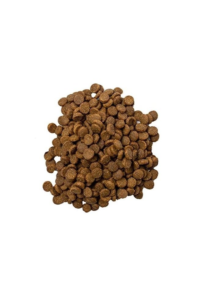 Doodzy Doodsy Dry Dog Food with Chicken Flavor for All Ages (20 Kilograms), All Life Stages.  - Image 2