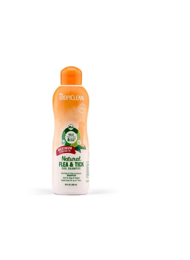 TropiClean Natural Flea & Tick Shampoo Maximum Strength, 355 Ml  - Image 1
