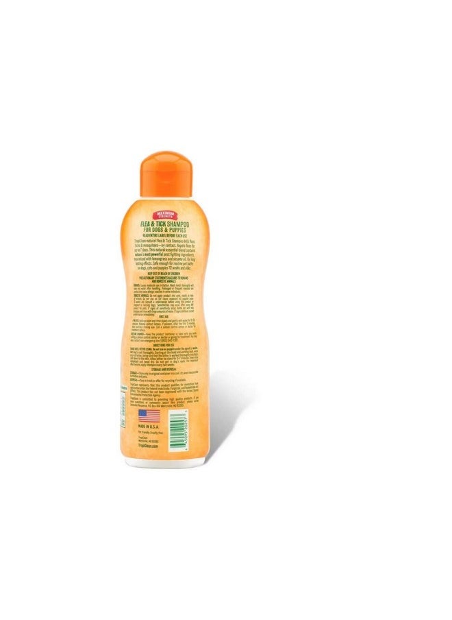 TropiClean Natural Flea & Tick Shampoo Maximum Strength, 355 Ml  - Image 3