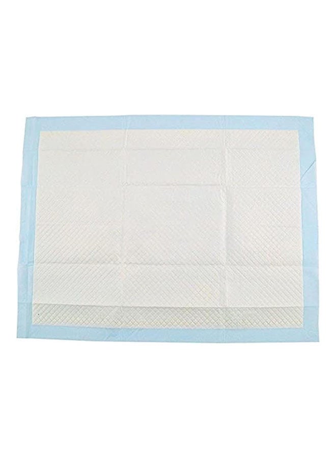 Golden Arrows Training Pads 10 Pieces - 90x60 cm