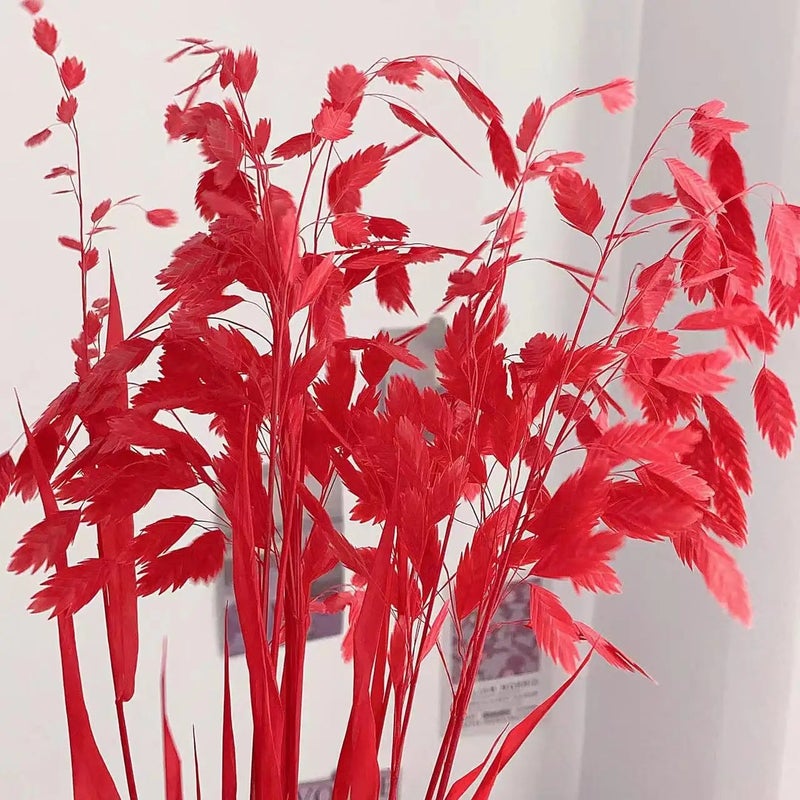 Bluejw Little Hope Grass Eternal Preserved Dried Flower Bouquet – Long-Lasting 3-5 Years, Post-Modern Home Decor Ornament with Natural Dried Plants - Image 1