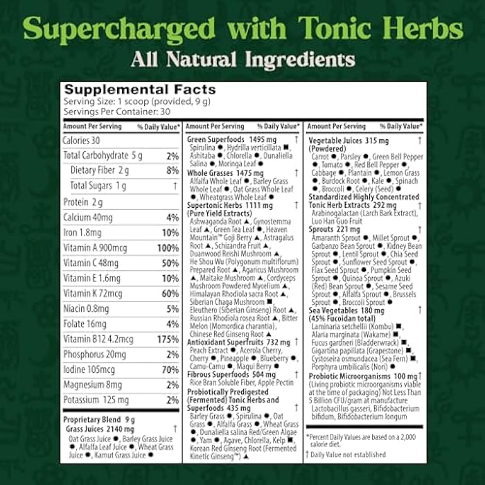 Dragon Herbs مسحوق الأعشاب السحرية من دراجون هيربس مع 91 مكون: أعشاب مقوية، أشواغاندا، فطر، بروبيوتيك، خضروات فائقة، أعشاب بحرية، فواكه، خضروات، سبيرولينا - 30 حصة - Image 2