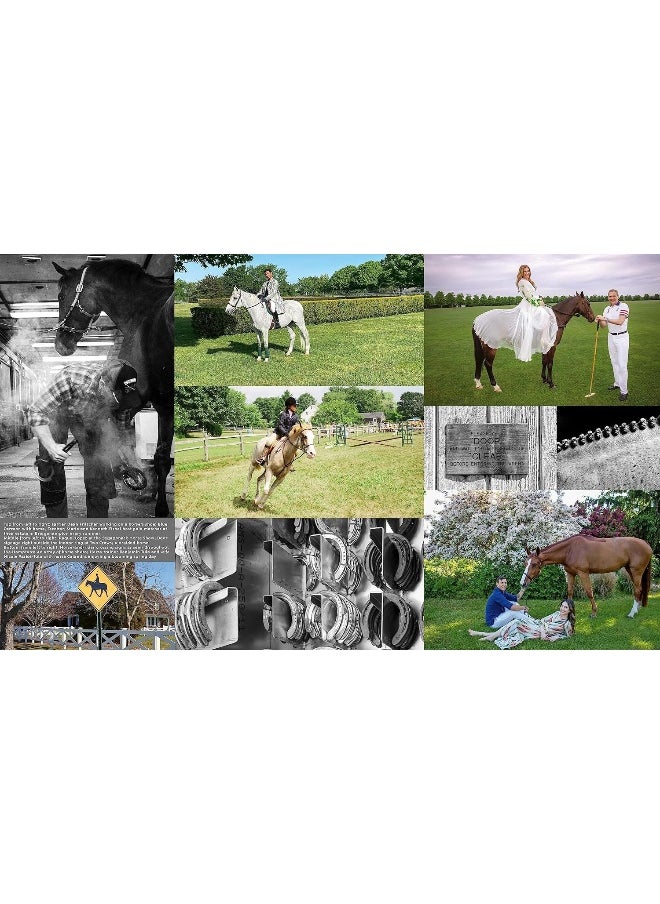 null - Equestrian Life in the Hamptons: In the Hamptons - Image 1