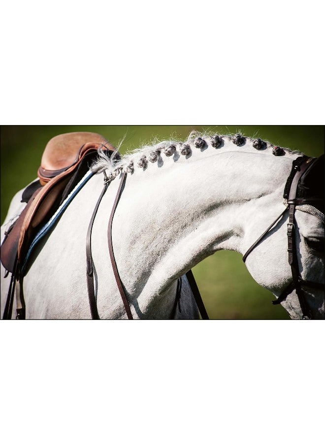 null - Equestrian Life in the Hamptons: In the Hamptons - Image 1