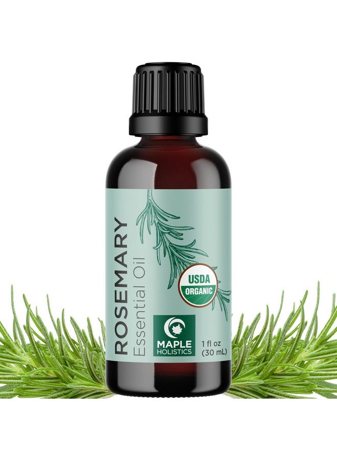 مايبل هوليستكس زيت إكليل الجبل العضوي المعتمد للشعر - زيت إكليل الجبل العطري العضوي المعتمد من وزارة الزراعة الأمريكية للشعر والبشرة والأظافر بالإضافة إلى العلاج بالروائح - زيت شعر عضوي لعلاج فروة الرأس الجافة وزيادة الحجم واللمعان - Image 1