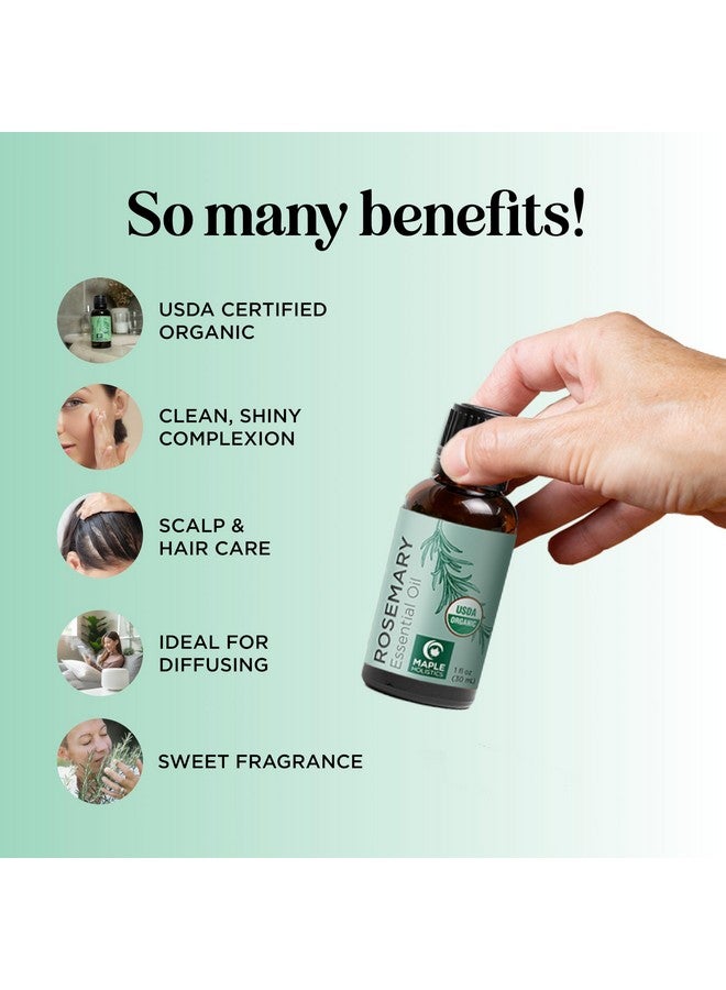 مايبل هوليستكس زيت إكليل الجبل العضوي المعتمد للشعر - زيت إكليل الجبل العطري العضوي المعتمد من وزارة الزراعة الأمريكية للشعر والبشرة والأظافر بالإضافة إلى العلاج بالروائح - زيت شعر عضوي لعلاج فروة الرأس الجافة وزيادة الحجم واللمعان - Image 3