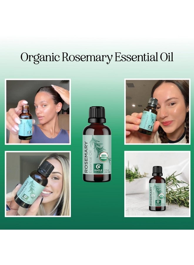 مايبل هوليستكس زيت إكليل الجبل العضوي المعتمد للشعر - زيت إكليل الجبل العطري العضوي المعتمد من وزارة الزراعة الأمريكية للشعر والبشرة والأظافر بالإضافة إلى العلاج بالروائح - زيت شعر عضوي لعلاج فروة الرأس الجافة وزيادة الحجم واللمعان - Image 2