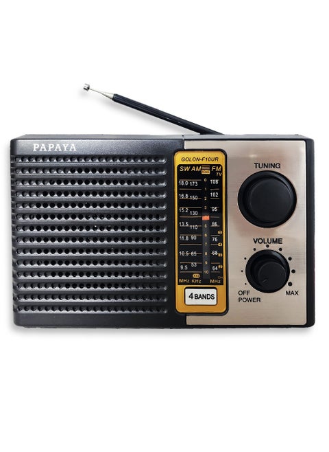 Papaya Radio Rx-F10Ur Rechargable With 3 Band - Black/Silver