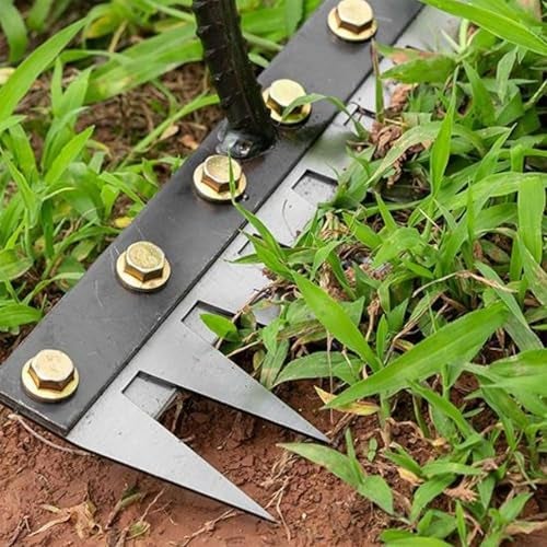 PANCA 8-Tine Garden Rake – Heavy-Duty Carbon Steel Handle for Soil Loosening, Weeding, Lawn & Yard Cleaning – Multipurpose Outdoor Gardening Tool (8 Teeth Rake) - Image 3