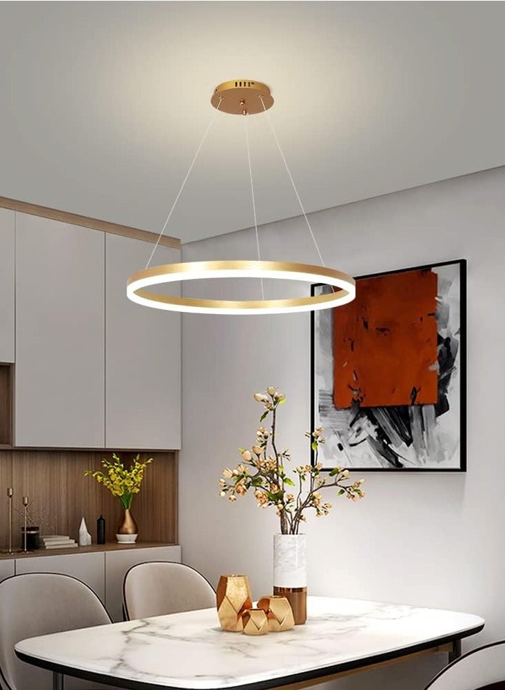 YATAI LIGHTING Modern Led Gold Chandelier, 1 Ring Contemporary Led Chandelier Circular Pendant Light, Dimmable Hanging Ceiling Light Fixture for Living Dining Room Bedroom Staircase Foyer, 3000-6000K,34W. - Image 5