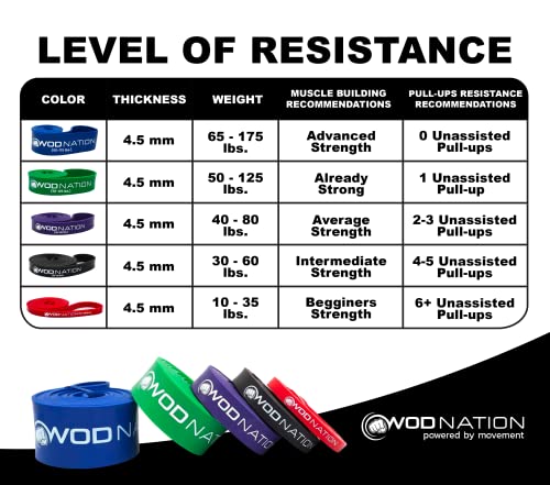 WOD Nation WOD Time Resistance Band for Pull-Up Assistance - 65-175 lb, Blue, 41 in - Thick Exercise & Stretching Band for Pull-Ups & Calisthenics - Image 3