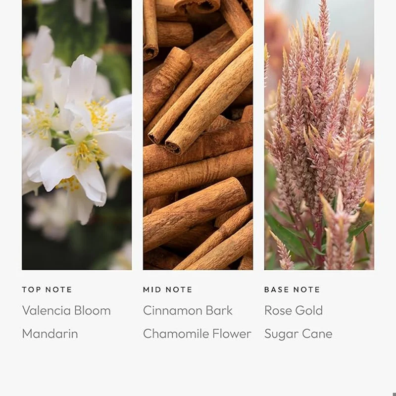 Aroma360  Leo Pro-Pod Oil Blend - Astrology Inspired for Luxury Essential Oil Diffusers - Aromatherapy Scent Diffuser Oil - Valencia Bloom, Cinnamon Bark, and Rose Gold - 50 mL, 1.7 fl oz  | Best Price UAE
