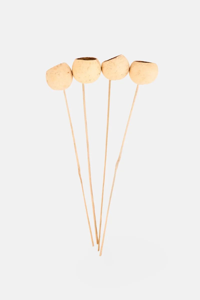 Muy Mucho 4 Pieces Natural Dried Bell Cup On Stem, Beige
