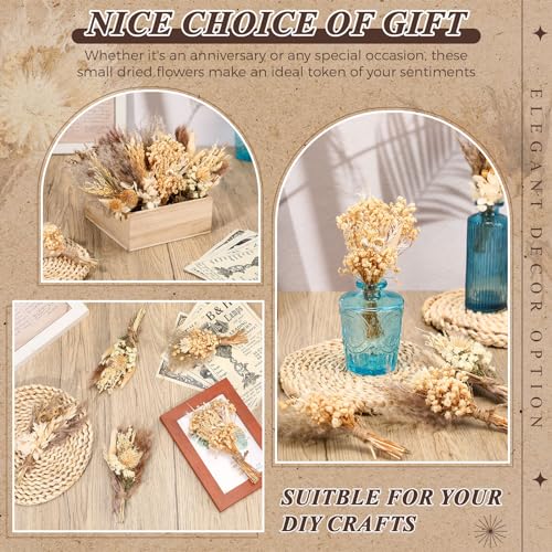 Layhit 24 Pcs Boho Dried Flower Bouquet Mini Wedding Handmade Dry Flowers Decor for Vase Crafts DIY Photo Boutonniere for Men Floral Plant for Bridesmaid Gift Birthday Decor(Stylish) - Image 4