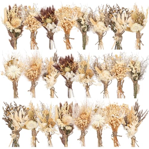Layhit 24 Pcs Boho Dried Flower Bouquet Mini Wedding Handmade Dry Flowers Decor for Vase Crafts DIY Photo Boutonniere for Men Floral Plant for Bridesmaid Gift Birthday Decor(Stylish) - Image 1