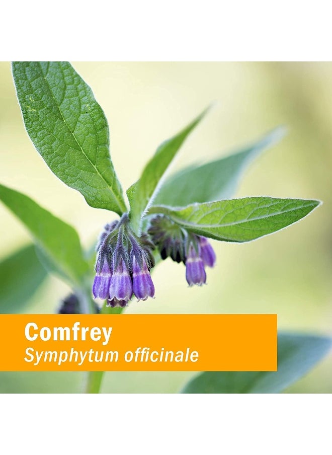 HERB PHARM Certified Organic Comfrey Liquid Extract - 1 Ounce  - Image 3