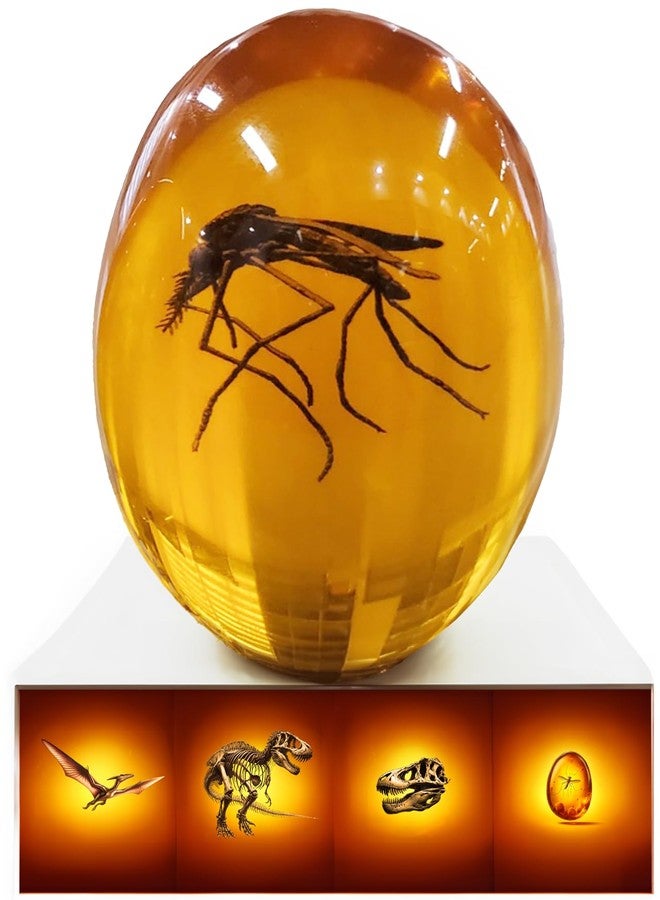 VEOJEIN Jurassic Mosquito in Amber [2D-C] Durable Resin Encased Detailed 2D Insect. Perfect for Collectors and Enthusiasts | Paperweight, Aged Effect, Desk Ornament - Image 1