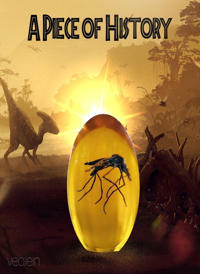 VEOJEIN Jurassic Mosquito in Amber [2D-C] Durable Resin Encased Detailed 2D Insect. Perfect for Collectors and Enthusiasts | Paperweight, Aged Effect, Desk Ornament - Image 2