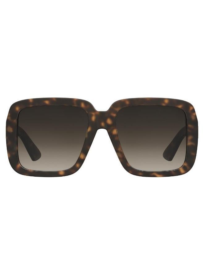 موسكينو نظارات شمسية - Image 3