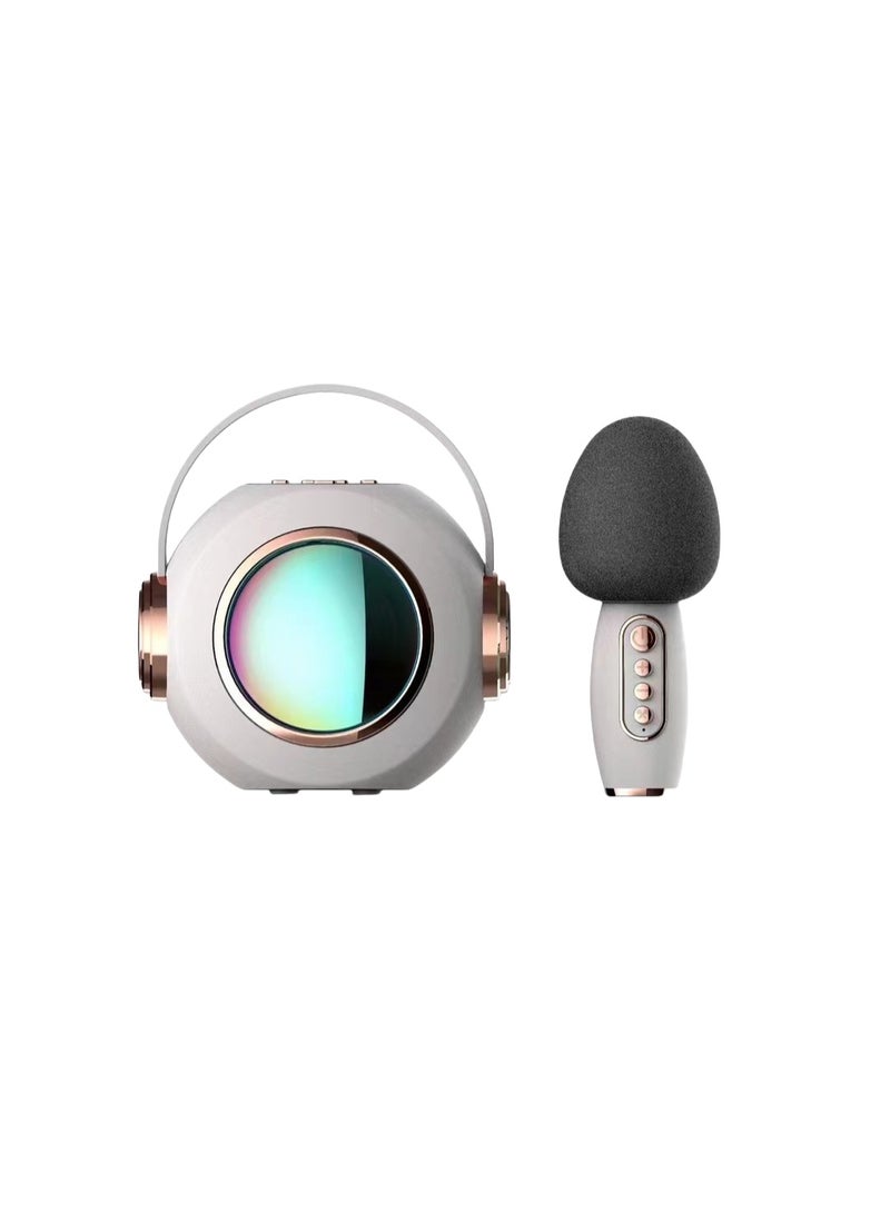 EBMINI Microphone Bluetooth Speaker With Microphone Singing Speaker All-In-One Machine