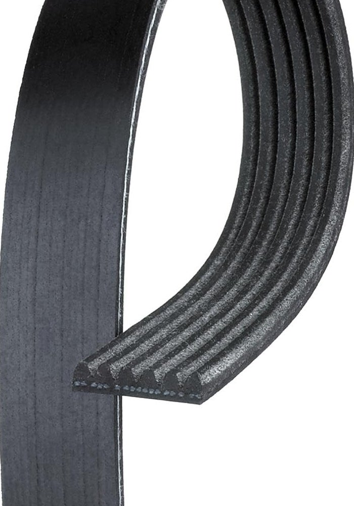 ACDelco حزام سير ACDelco 6K975 المحترف V-Ribbed - Image 1