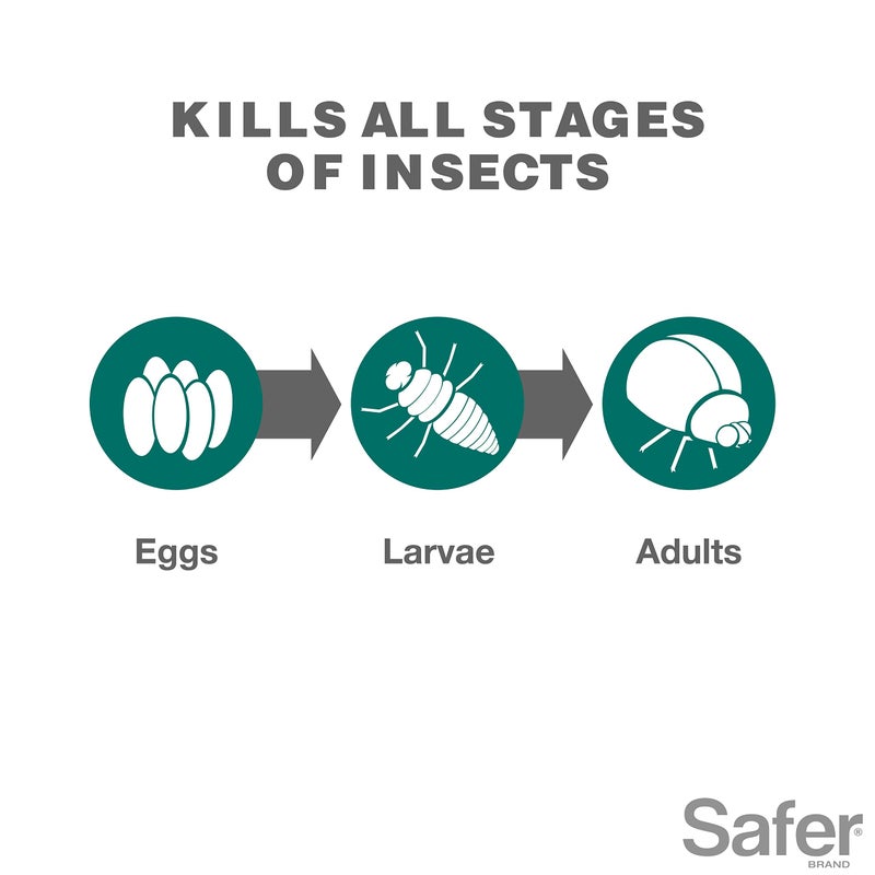 Safer علامة سيفر 5192-6، 16 أونصة زيت رذاذ زراعي وسبات مركز، 1 عبوة، أخضر - Image 3