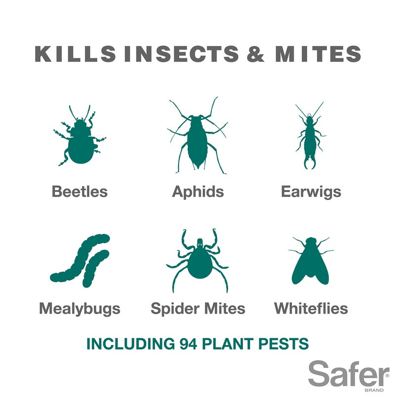 Safer علامة سيفر 5192-6، 16 أونصة زيت رذاذ زراعي وسبات مركز، 1 عبوة، أخضر - Image 4