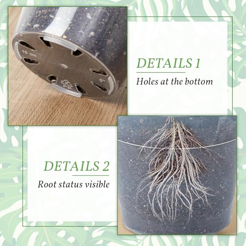 Vesici 12 Pcs 5/7/9 Inch Large Size Clear Nursery Pots Variety Pack Plant Pots with Drainage Holes Planters for Indoor Plants Flexible Transparent Plastic Plant Bottle Succulents - Image 4