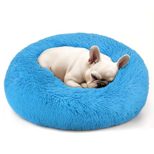 Hoewina Dogs Bed for Small Dogs AntiAnxiety Washable Round Bed Light Blue 240 L x 240 W x 80 Th - Image 1