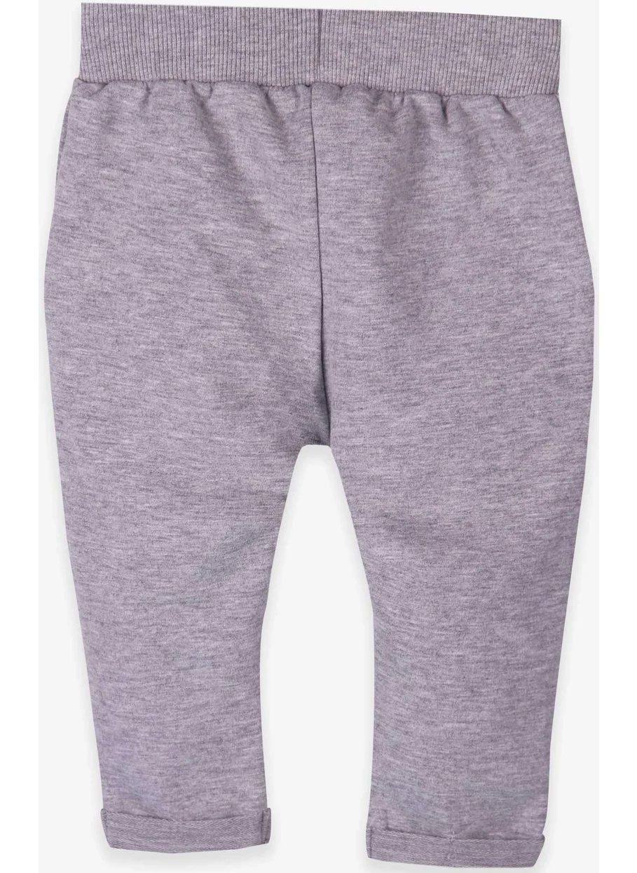 Breeze Baby Boy Sweatpants Coat of Arms Basic Light Gray Melange (9 Months-3 Years)