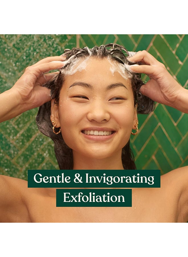 THE BODY SHOP Ginger Hair & Scalp Scrub for Dry, Flaky Scalp | Exfoliating Scalp Treatment with Crushed Walnut & Coconut Shells | Removes Build-Up & Relieves Dryness | Vegan, 240ml - Image 2