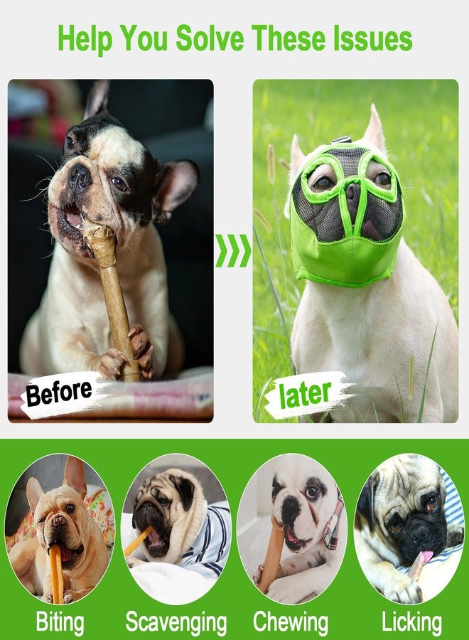 JYHY Short Snout Dog Muzzles- Adjustable Breathable Mesh Bulldog Muzzle for Biting Chewing Licking Grooming Dog Mask,Green M - Image 2