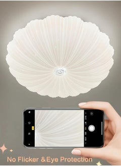 Creative Shell LED Ceiling Lamp - pzsku/Z6BA7780866994AC0A075Z/45/_/1737356062/823e27fe-a6ab-4520-8e01-eef6fd91ccf8