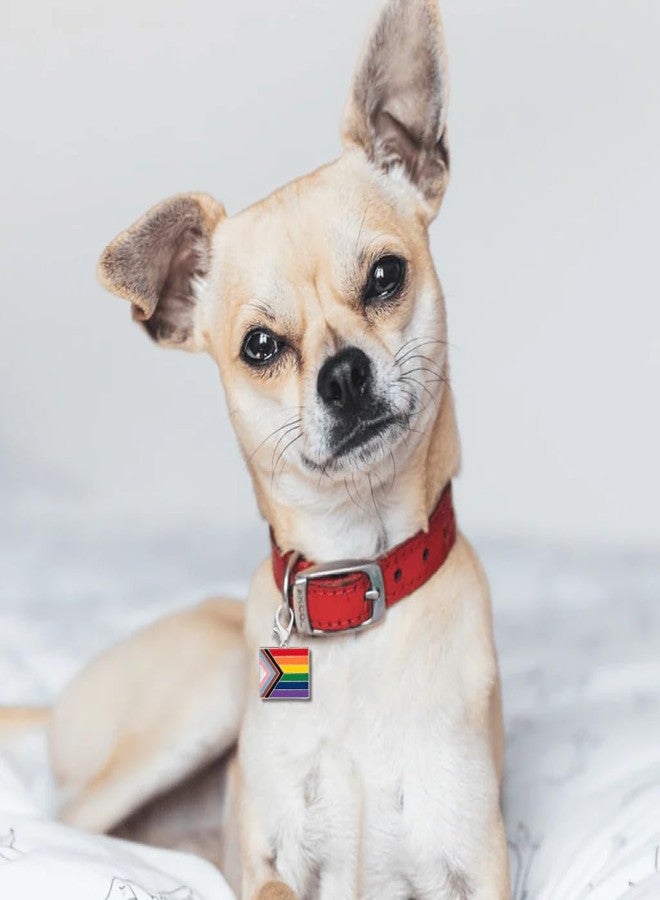 فوندريزينغ فور أ كوز زينة "فخر التقدم" من تصميم دانيال كوازار، مثالية للأساور، والحقائب، وسحابات السترات، وحقائب الظهر، وأطواق الحيوانات الأليفة - إكسسوارات فخر المثليين - Image 5