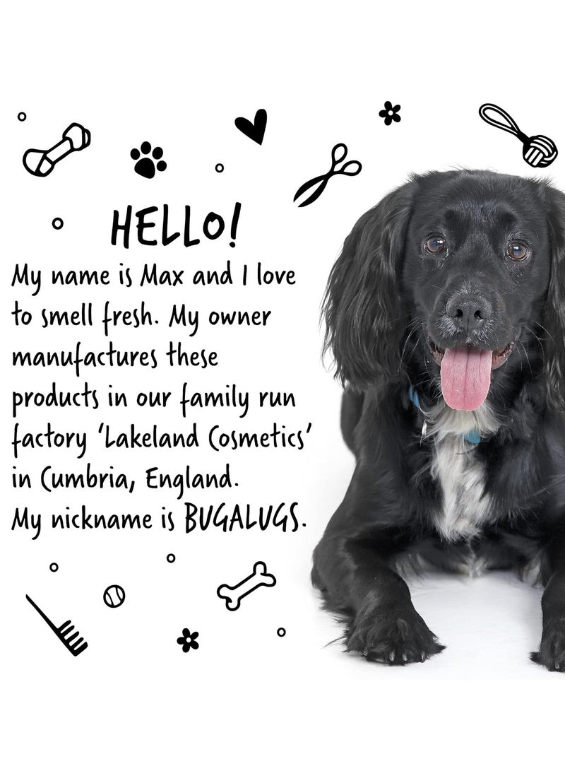 BUGALUGS Dog Conditioner 500ml with Papaya and Coconut dog perfume best grooming Conditioner for dogs puppy and smelly pet that detangles and moisturises use with dog shampoo cologne - Image 2