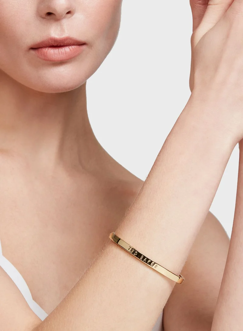 Ted Baker Clemina Hinge Metallic Bangle