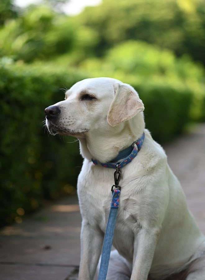 Mutt of Course Raining Donuts Martingale Collar for Dogs (Small) - Image 4