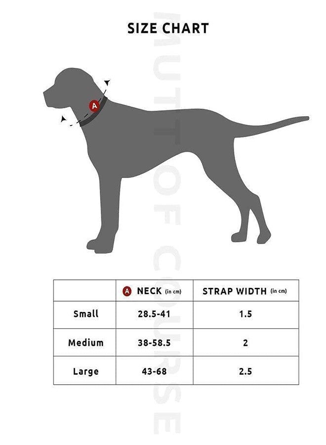Mutt of Course Raining Donuts Martingale Collar for Dogs (Small) - Image 5
