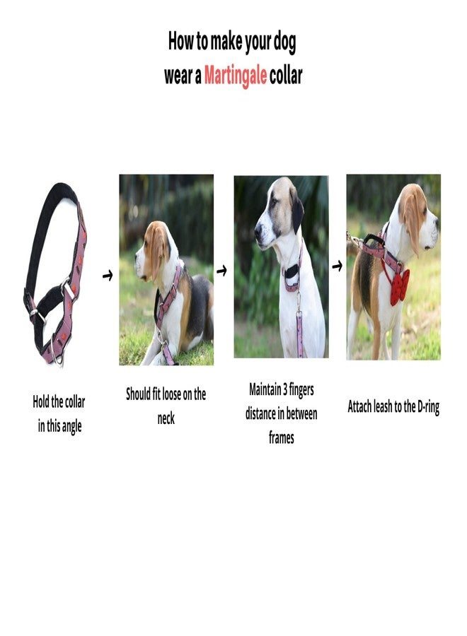 Mutt of Course Raining Donuts Martingale Collar for Dogs (Small) - Image 3