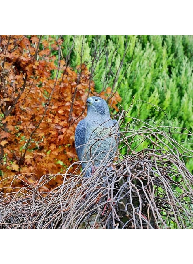 DefenderShield Defenders Falcon, Decoy Bird Scarer, Life-like Colouring - Image 3
